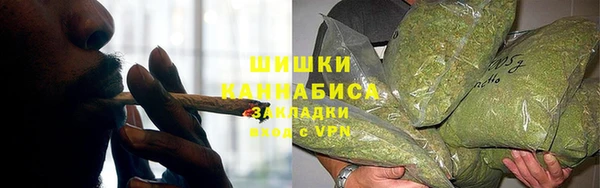 ГАЛЛЮЦИНОГЕННЫЕ ГРИБЫ Вязьма