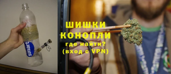 ГАЛЛЮЦИНОГЕННЫЕ ГРИБЫ Вязьма
