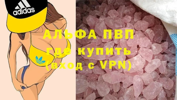 ГАЛЛЮЦИНОГЕННЫЕ ГРИБЫ Вязьма