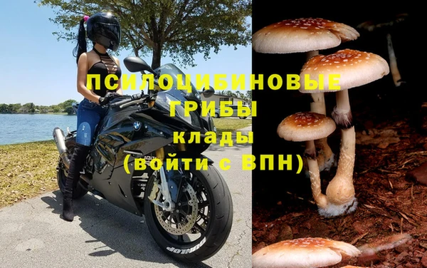 ГАЛЛЮЦИНОГЕННЫЕ ГРИБЫ Вязьма