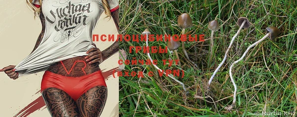 первитин Вязники