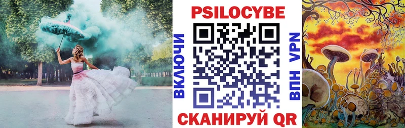 Купить закладки  Лабинск  Псилоцибиновые грибы MAGIC MUSHROOMS 